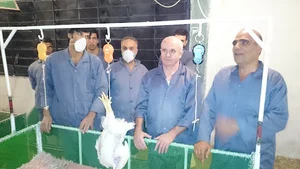Sabzdasht GP
