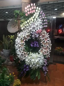 گلفروشی آدنیوم