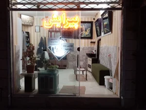 پیرایش امیر