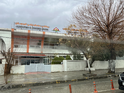 Kurdistan Engineers Union