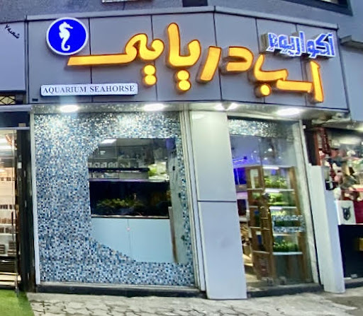 آکواریوم اسب دریایی