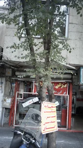پر کن بخور