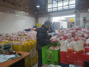 هایپر پروتئین دیلی چیکن 2