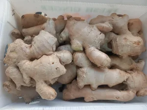 میوه فروشی رحیمی 3