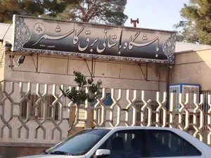 باشگاه باستانی برق کاشمر 2