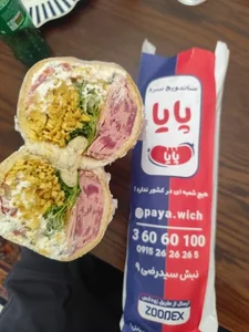 ساندویچ سرد پایا 5