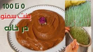 سمنوی گندمک