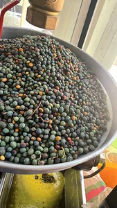 عطاری و روغن مارکت شاهسونی