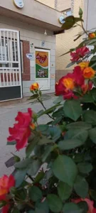 هایپر مارکت رز 2