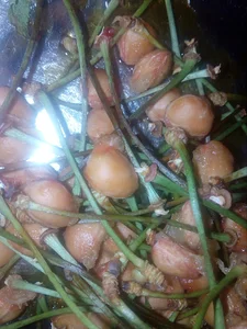 نمایشگاه درب های ضد سرقت صراحیان