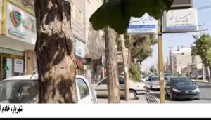 مرکز لیزر ریحان نایس