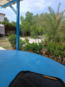 رشت