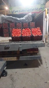 بازرگانی و بارفروشی علیرضا جوادی و پسران