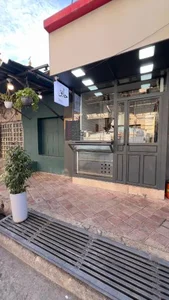 پیتزا حایو hayo pizza 5