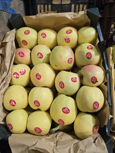 میدان میوه تره بار افشین برزکار