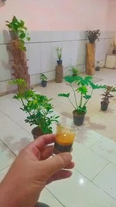 قهوه تلخ و شیرین 3