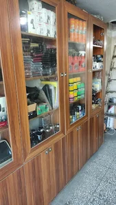 دزدگیروروکش سرای عباسی