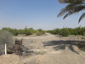 رودخانه زیارت علی