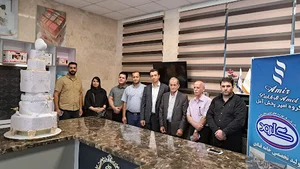 مجموعه آکادمی آلا