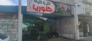 گلخانه گلوریا (جعفری) 2