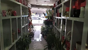 گل فروشی ارم