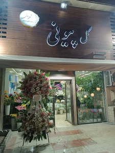 گل پیونی