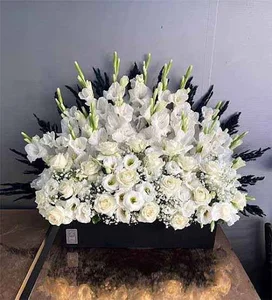 گل لیندا