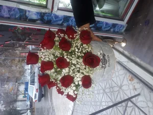 گلکده باران 2