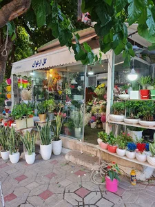فروشگاه گل ارغوان
