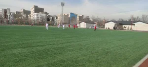 زمین فوتبال چمن مصنوعی