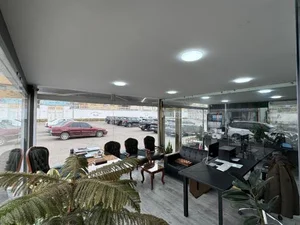 گروه خودرویی رانیک 4