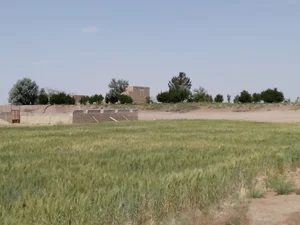 مزرعه‌ مرحوم حاج کثیر یزدانی