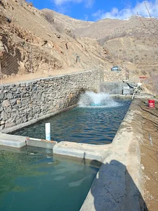 پرورش ماهی مرادی