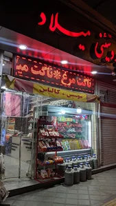 پروتئینی میلاد