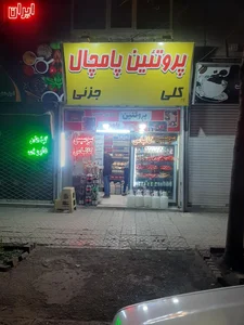 پروتئین پامچال 2
