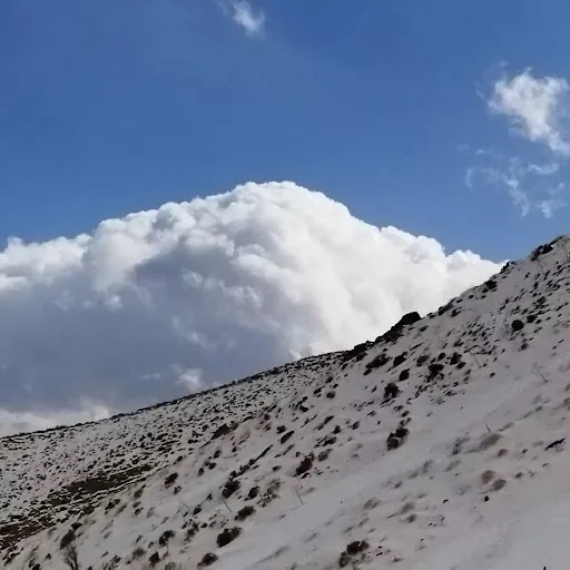 کوه میش
