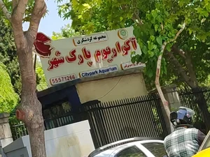 آکواریوم پارک شهر 3