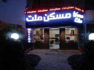 شرکت فنی مهندسی صنایع الکترونیک فرازیارا