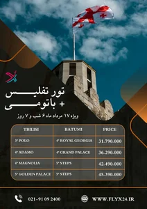 فلای ایکس 24