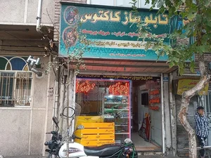 تابلو و مهر سازی کاکتوس 2
