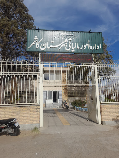 اداره امور مالياتي