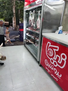 نیکا پروتئین اصلی