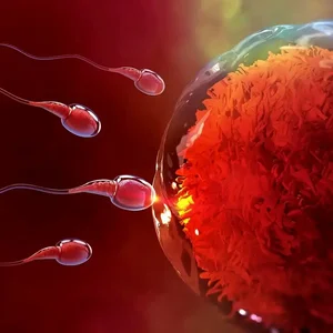 اسپاد نطفه