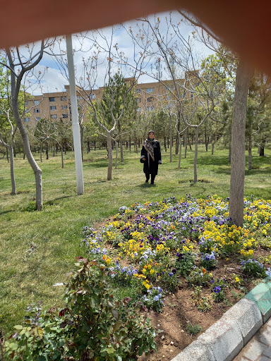 ميرداماد