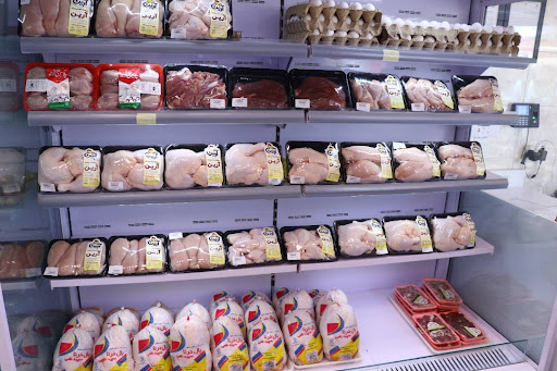 فروشگاه پروتئینی آرین