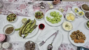 رستوران شالیزار