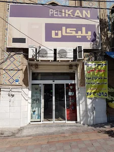 پلیکان