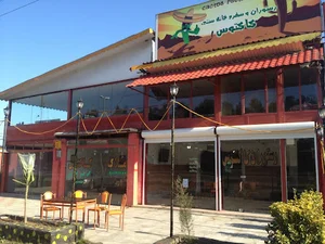 رستوران کاکتوس