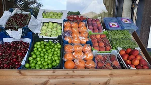 میوه و تره بار کوهسار