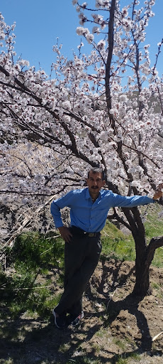 گندم چالان ، زراعت قدیرعلی بخشی